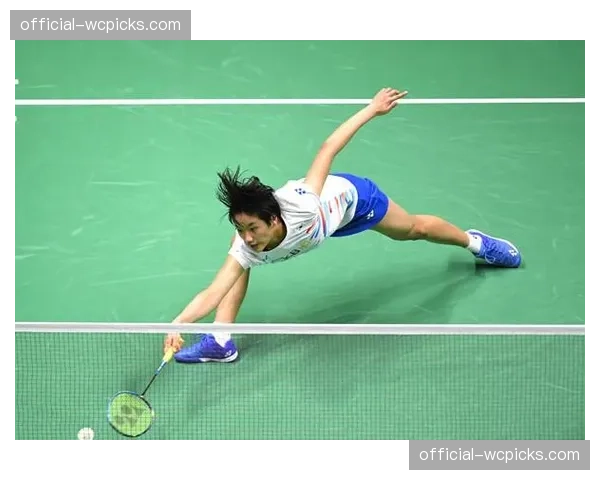 北美职业手球联赛（NPHL）宣布扩展计划，新增两支球队